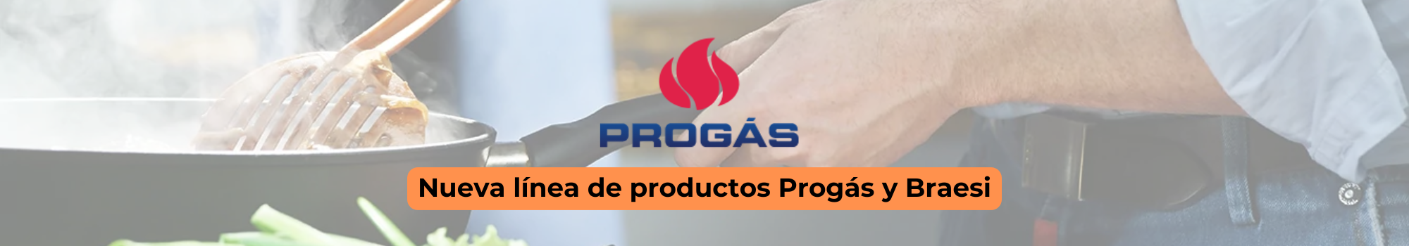 /banners/1-progas-nueva-linea.png